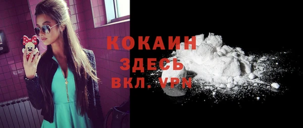 спайс Корсаков
