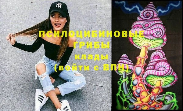 мяу мяу мука Кулебаки