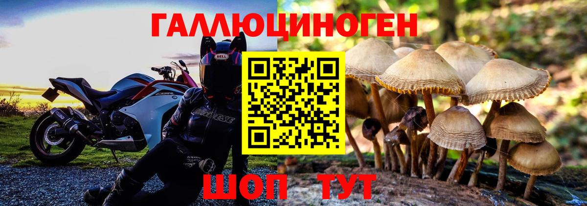 Галлюциногенные грибы ЛСД  Вход с VPN  Псилоцибиновые грибы ЛСД  Моршанск 