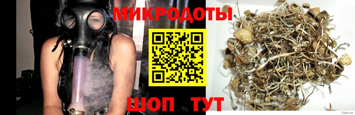 Галлюциногенные грибы GOLDEN TEACHER  Моршанск  Галлюциногенные грибы Psilocybe 