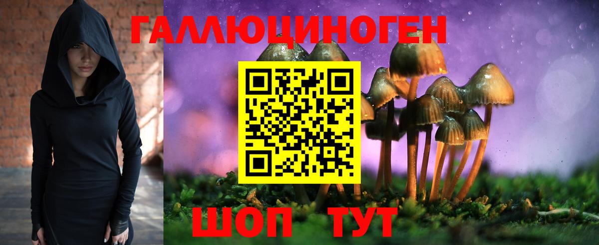 Галлюциногенные грибы MAGIC MUSHROOMS Моршанск